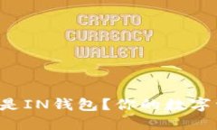 选择TP钱包还是IN钱包？你